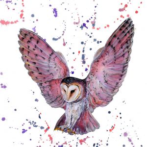 "In Flight" - Barn Owl in White" - Original Watercolour - Prints available