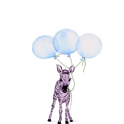 Baby Zebra with Blue Balloons - Prints for sale
