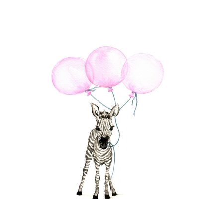 Baby Zebra with Pink Balloons - Prints for sale