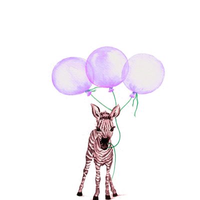 Baby Zebra with Purple Balloons - Prints for sale