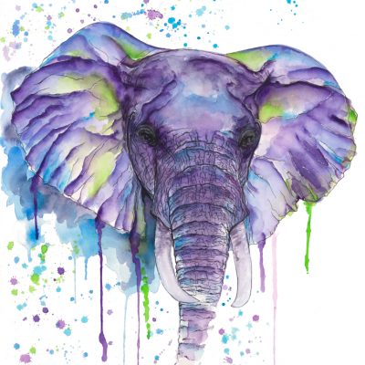 Elephant - Original Watercolours - 30 x 24 Inches (unframed)