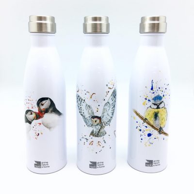 RSBB IceBottles with my designs