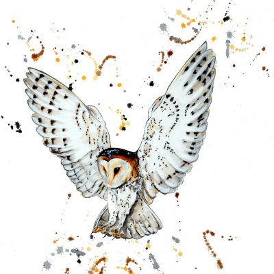 "In Full Flight" Barn Owl in White - Original Watercolour for Sale - Prints available