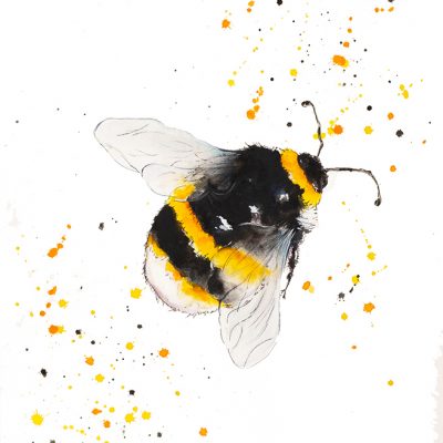"Just Buzzing Around" - SOLD-Original Watercolour -Prints Available